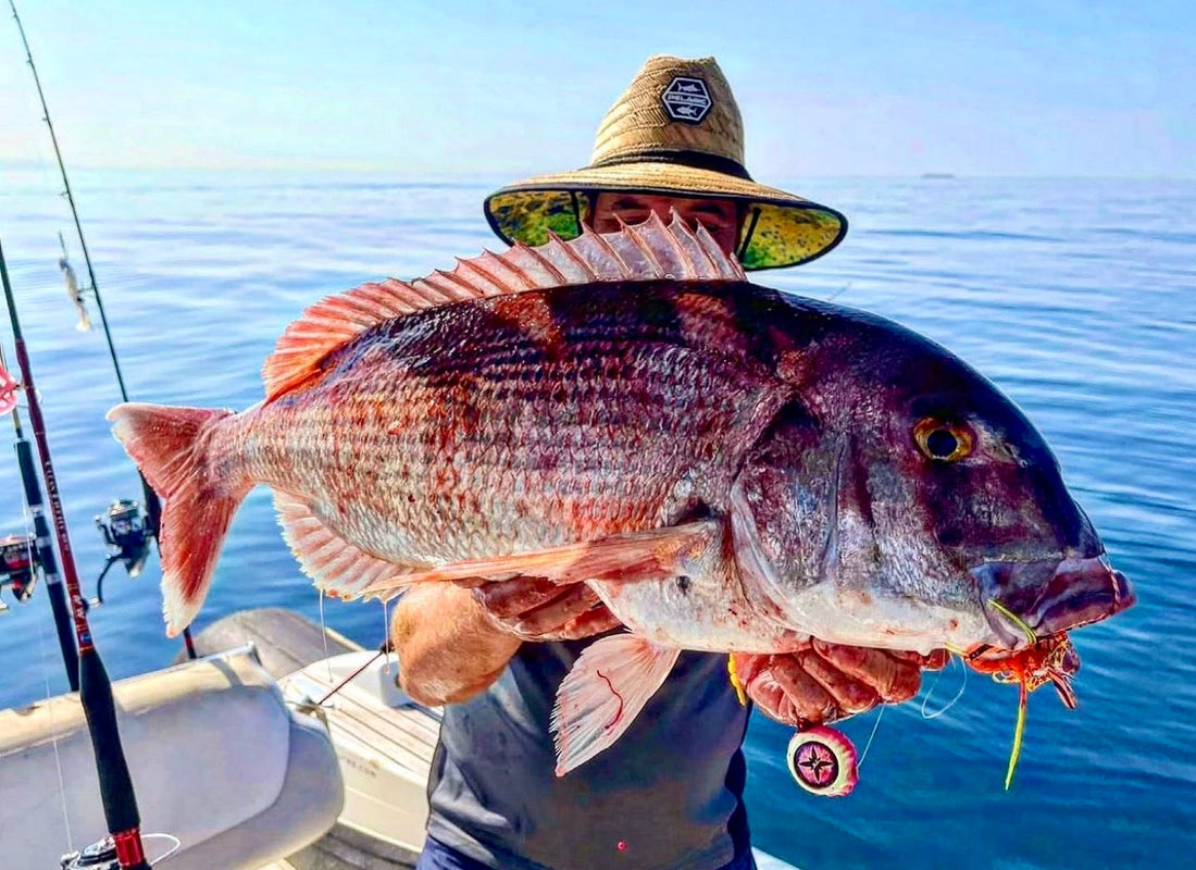 Pêche au Madaï : Guide complet + techniques efficaces