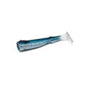 Sardine