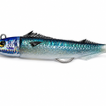 Sardine