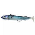 Sardine