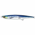 #6 Sardine