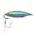#6 Sardine